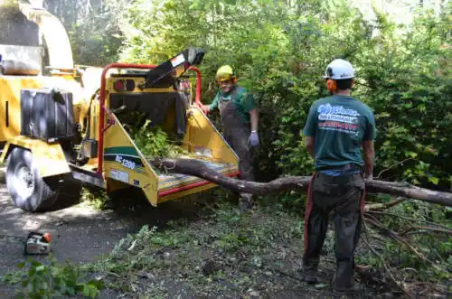 tree services Phenix City